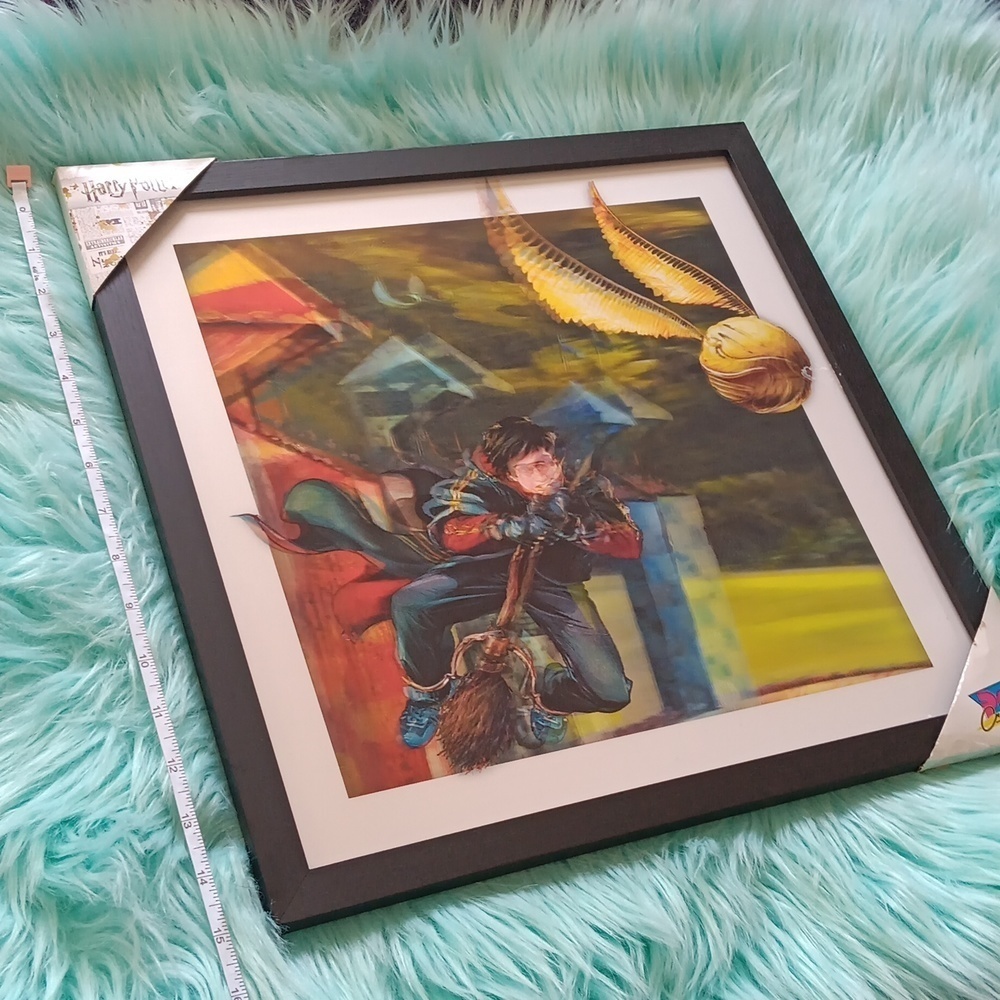 Harry potter frame ,picture flying Harry potter Hologram - Picture 2 of 9